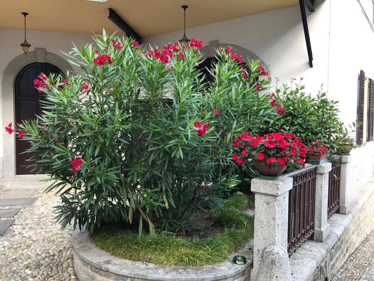 Villa Ombrosa Nebbiuno Dış mekan fotoğraf