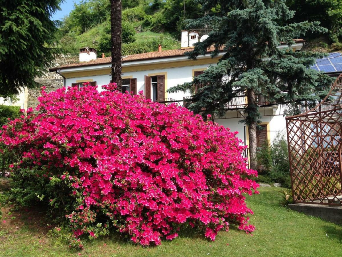 Villa Ombrosa Nebbiuno Dış mekan fotoğraf